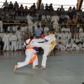 sa prvenstva bih u ju jutsu 2008